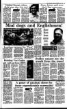 Irish Independent Saturday 30 September 1989 Page 25