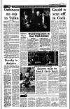 Irish Independent Monday 02 October 1989 Page 13