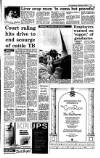 Irish Independent Wednesday 04 October 1989 Page 3