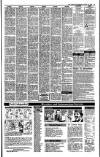 Irish Independent Wednesday 18 October 1989 Page 25