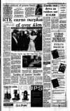 Irish Independent Wednesday 01 November 1989 Page 3