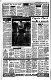 Irish Independent Wednesday 08 November 1989 Page 17