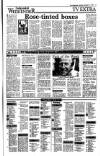 Irish Independent Saturday 11 November 1989 Page 17
