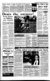Irish Independent Thursday 23 November 1989 Page 17