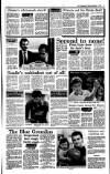 Irish Independent Friday 01 December 1989 Page 19