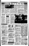 Irish Independent Saturday 09 December 1989 Page 21