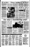 Irish Independent Saturday 09 December 1989 Page 23