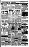 Irish Independent Wednesday 13 December 1989 Page 19