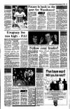 Irish Independent Friday 15 December 1989 Page 13