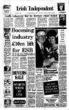 Irish Independent Thursday 28 December 1989 Page 1