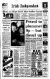 Irish Independent Saturday 30 December 1989 Page 1