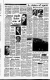 Irish Independent Tuesday 02 January 1990 Page 13