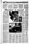 Irish Independent Friday 05 January 1990 Page 9