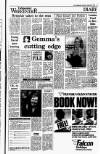 Irish Independent Saturday 06 January 1990 Page 17
