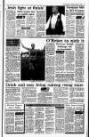 Irish Independent Saturday 06 January 1990 Page 23