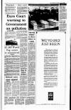Irish Independent Tuesday 09 January 1990 Page 3