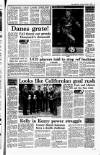 Irish Independent Tuesday 09 January 1990 Page 15
