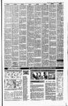Irish Independent Tuesday 09 January 1990 Page 21