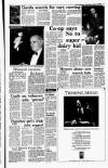 Irish Independent Wednesday 10 January 1990 Page 13