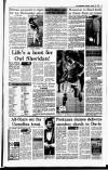 Irish Independent Saturday 13 January 1990 Page 19