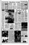 Irish Independent Tuesday 16 January 1990 Page 13