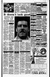Irish Independent Wednesday 17 January 1990 Page 17