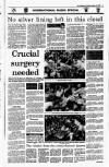 Irish Independent Monday 22 January 1990 Page 11