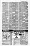Irish Independent Monday 22 January 1990 Page 21