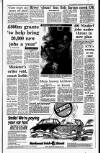 Irish Independent Wednesday 24 January 1990 Page 3