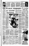 Irish Independent Thursday 25 January 1990 Page 7