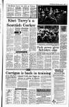 Irish Independent Wednesday 31 January 1990 Page 13