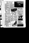 Irish Independent Friday 02 February 1990 Page 31
