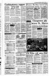 Irish Independent Wednesday 21 February 1990 Page 13