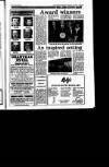 Irish Independent Wednesday 21 February 1990 Page 29
