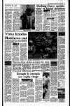 Irish Independent Saturday 24 February 1990 Page 19