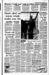 Irish Independent Wednesday 28 February 1990 Page 11