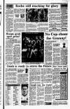 Irish Independent Saturday 10 March 1990 Page 19