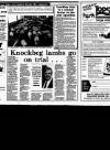 Irish Independent Tuesday 03 April 1990 Page 33