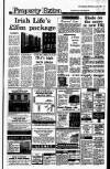 Irish Independent Wednesday 04 April 1990 Page 17