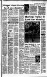 Irish Independent Tuesday 10 April 1990 Page 13