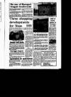 Irish Independent Thursday 12 April 1990 Page 32