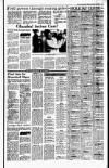 Irish Independent Thursday 19 April 1990 Page 19