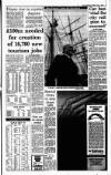 Irish Independent Friday 01 June 1990 Page 5