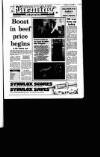 Irish Independent Tuesday 05 June 1990 Page 21