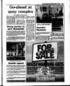Irish Independent Friday 08 June 1990 Page 29