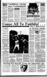 Irish Independent Saturday 07 July 1990 Page 23