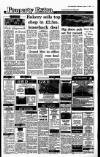Irish Independent Wednesday 01 August 1990 Page 17