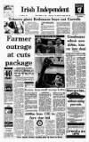 Irish Independent Friday 05 October 1990 Page 1