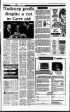 Irish Independent Thursday 15 November 1990 Page 33
