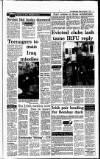 Irish Independent Friday 02 November 1990 Page 13